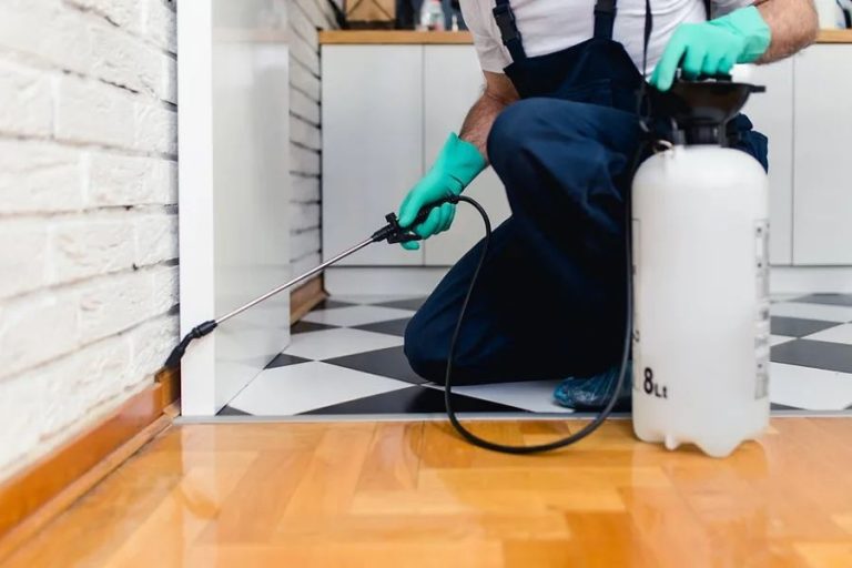 My Detailed Experience With Pest Control in Oakville: Why I Chose Pestline